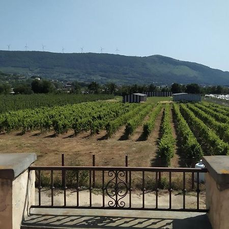 Agriturismo Il Casale Del Cavaliere SantʼAgata deʼ Goti Zewnętrze zdjęcie