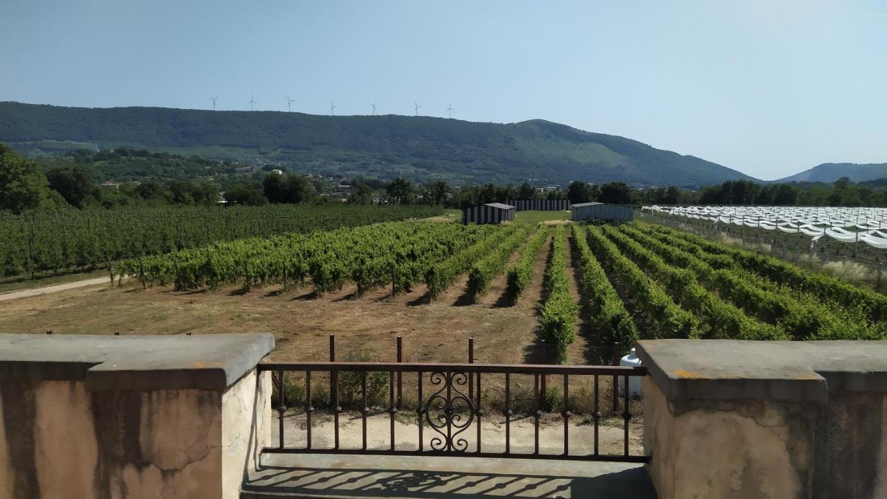Agriturismo Il Casale Del Cavaliere SantʼAgata deʼ Goti Zewnętrze zdjęcie